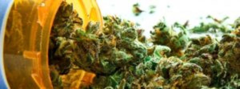 Medical Cannabis To Ease The Pain And Some Others