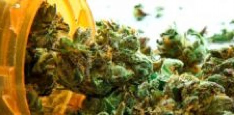 Medical Cannabis To Ease The Pain And Some Others